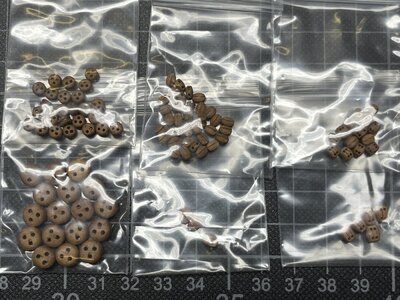 IMG_1618.jpg IMG_1618.jpg