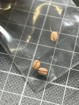 IMG_1625.jpg IMG_1625.jpg