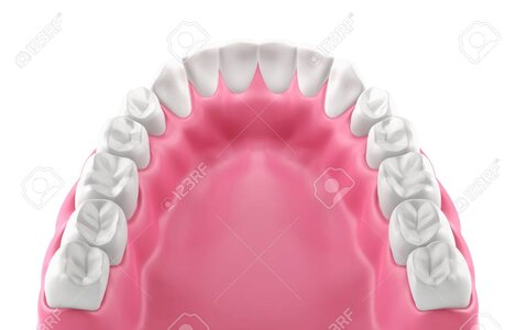 34877823-3d-tanden-of-tand-illustratie-geïsoleerd-bovenaanzicht.jpg