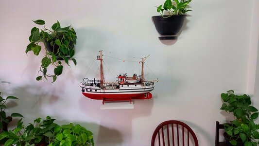 20230415_130330.jpg