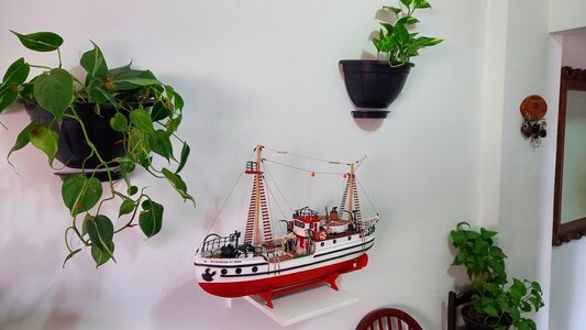20230415_130337.jpg