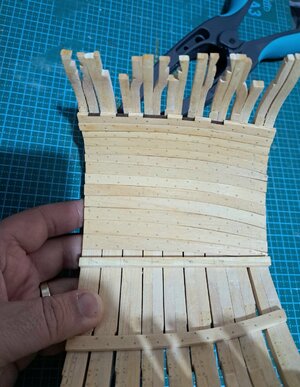 20230514_170120.jpg