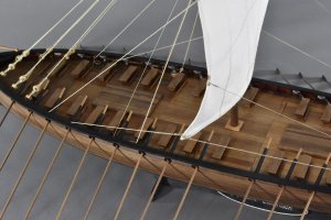 DSC_0445.jpg DSC_0445.jpg