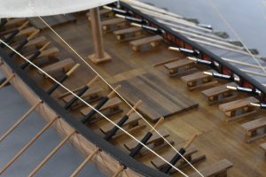 DSC_0517.jpg DSC_0517.jpg