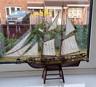 20230609_211427.jpg