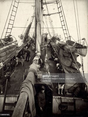 gettyimages-946187126-2048x2048.jpg