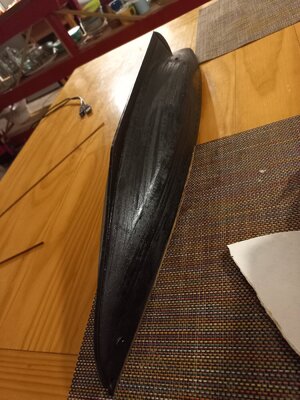 20230614_212158.jpg