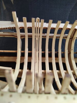 IMG_20230609_171942.jpg IMG_20230609_171942.jpg