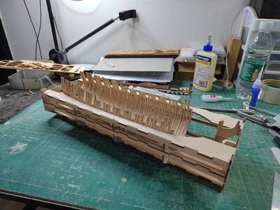 IMG_20230612_204404.jpg IMG_20230612_204404.jpg