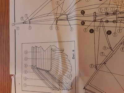 20230705_155143.jpg