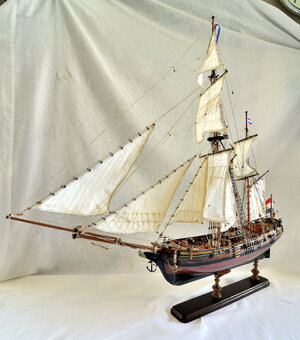 Dolphyn-Corel by Korsan ) (9).jpg