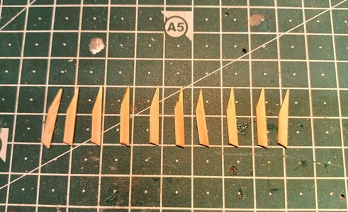 20230717_135011.jpg