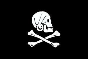 744px-Pirate_Flag_of_Henry_Every.svg.png