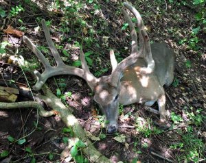 Opening day  10pt 9-7-18.jpg