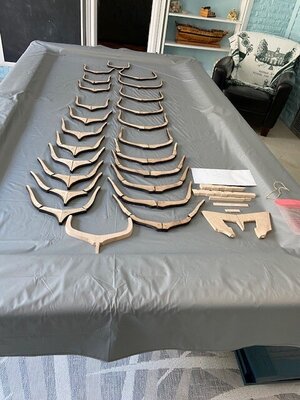 IMG_4915.jpg IMG_4915.jpg