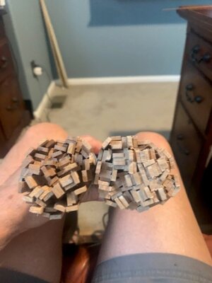08-20-2023 hope I made enough planks.jpg