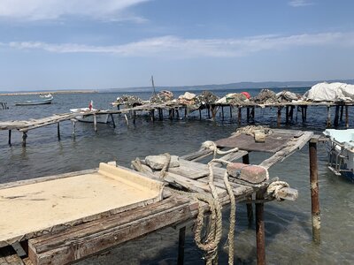 IMG_5017.jpeg