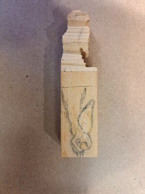 20230819_131609.jpg 20230819_131609.jpg