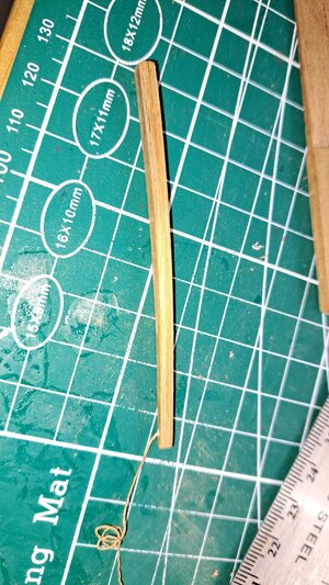 20221012_160358.jpg