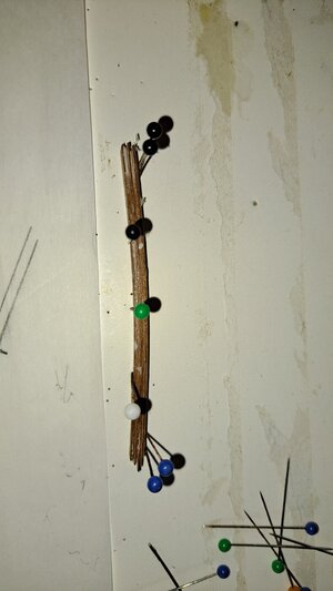 20221012_145225.jpg