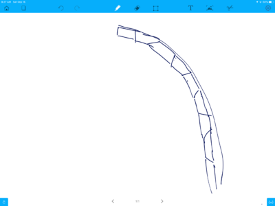 IMG_9913.png