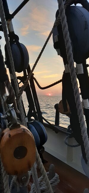 20230915_195742.jpg