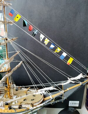 IMG_20231006_093500.jpg