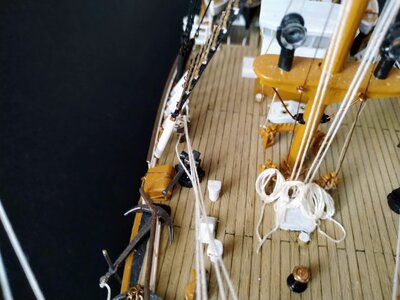IMG_20231008_112528.jpg