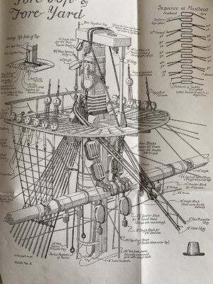 IMG_0126.jpeg