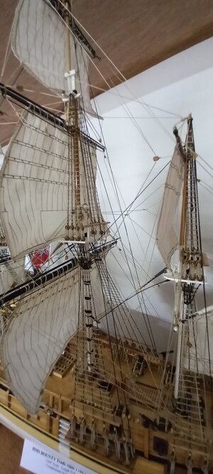 20231012_110910.jpg