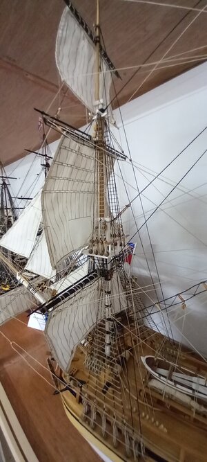 20231012_110905.jpg