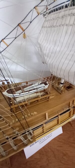 20231012_110842.jpg