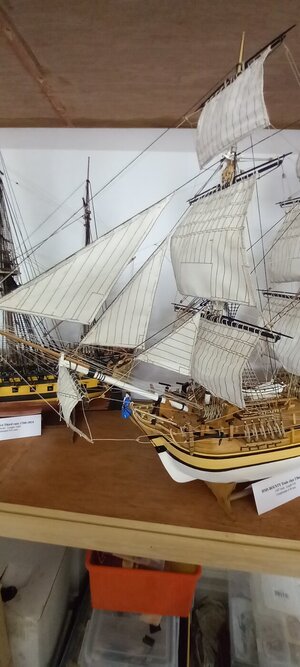 20231012_110815.jpg