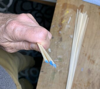 IMG_5998.jpg