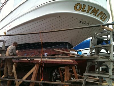 Olympus réel 001.jpg