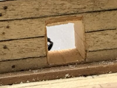 IMG_7270.jpeg