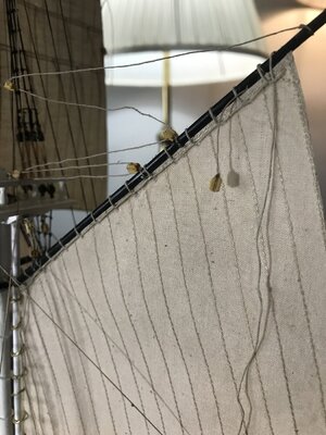 IMG_8636.jpeg