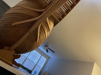 IMG_4529.jpeg