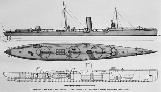 Schichau-type (1).jpg