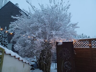 20231202_075949.jpg