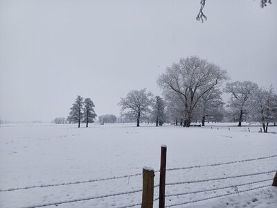20231202_092338.jpg