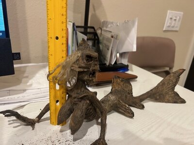 thumbnail_IMG_1266.jpg