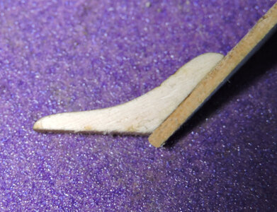 DSCN6596.jpg