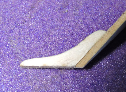 DSCN6597.jpg