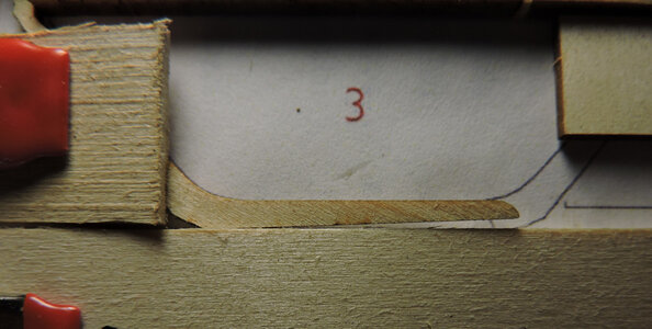 DSCN6608.jpg