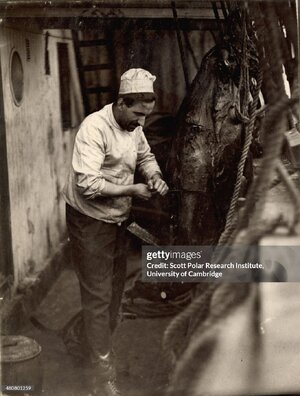 gettyimages-480801259-2048x2048.jpg