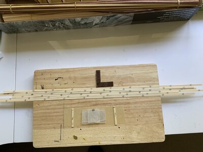 IMG_0602.jpeg