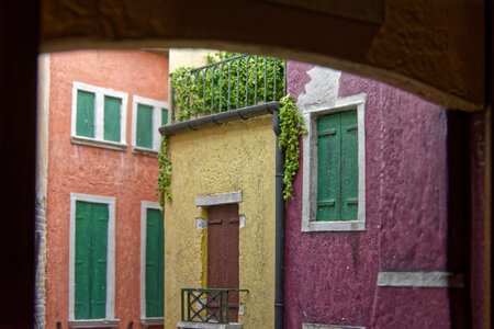 DSC_7842.jpg