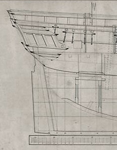 DISCOVERYprofile1.jpg