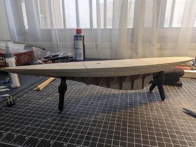 planking2.jpeg planking2.jpeg